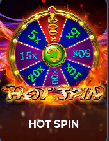Hot Spin